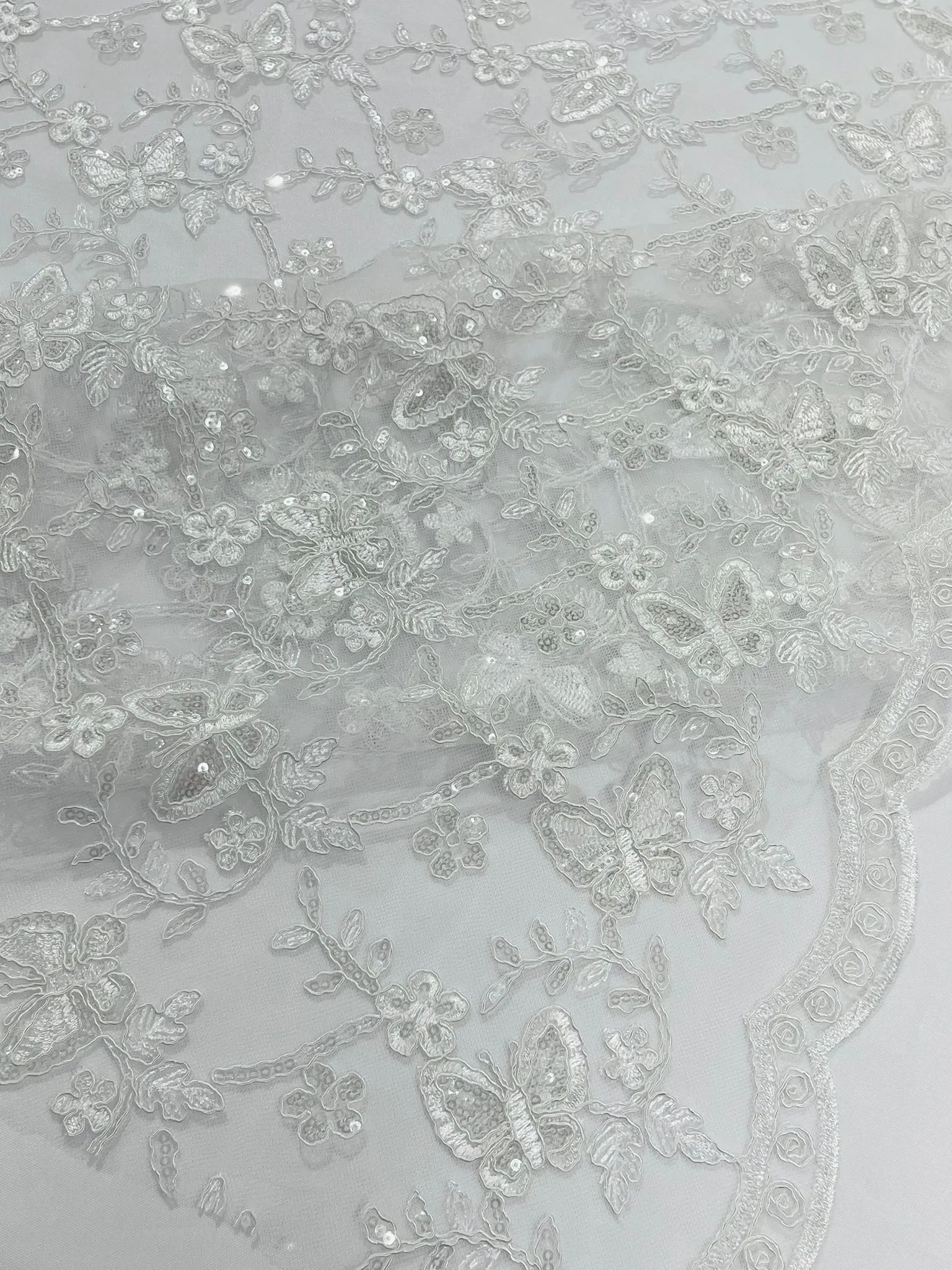 Corded Lace/ Butterfly Design Embroidered With Sequin on a Mesh Lace Fabric