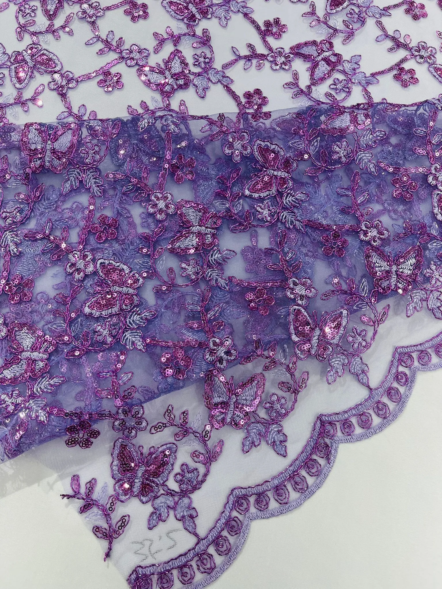 Corded Lace/ Butterfly Design Embroidered With Sequin on a Mesh Lace Fabric